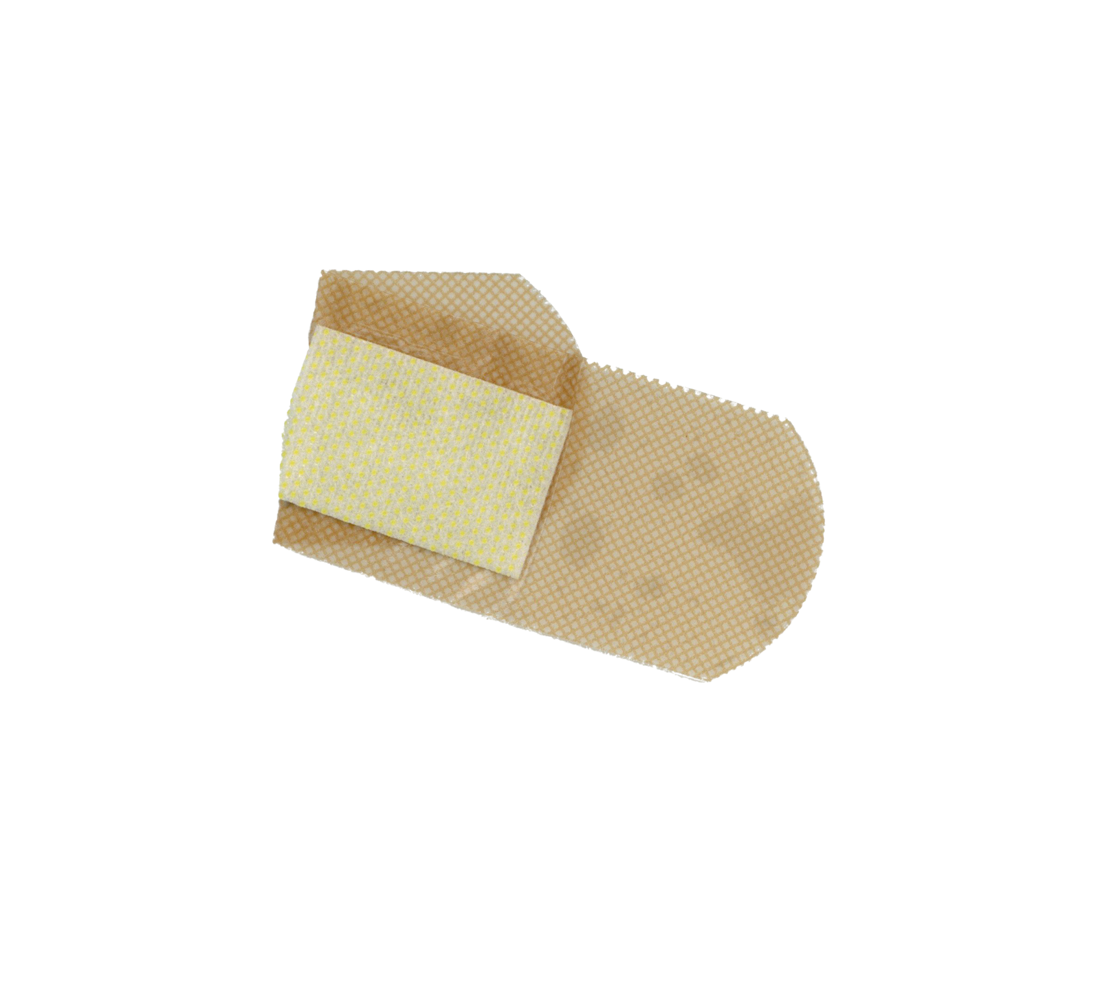 스크롤 이미지 3